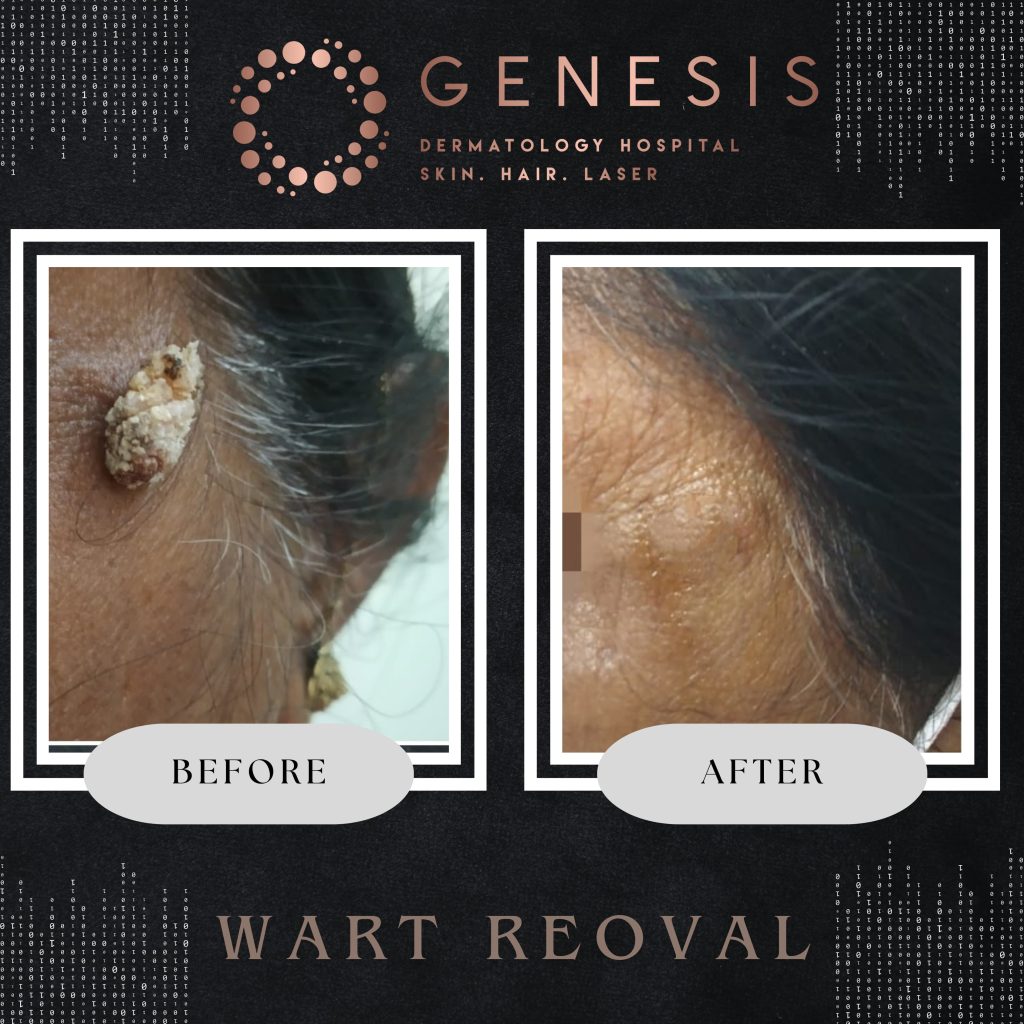 WhatsApp Image 2025-02-15 at 1.03.26 PM